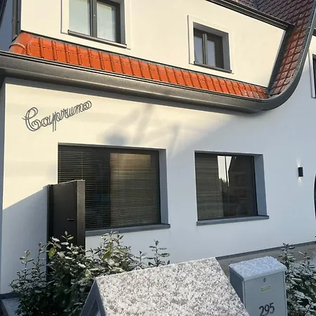 Caprino 크노케-하이스트