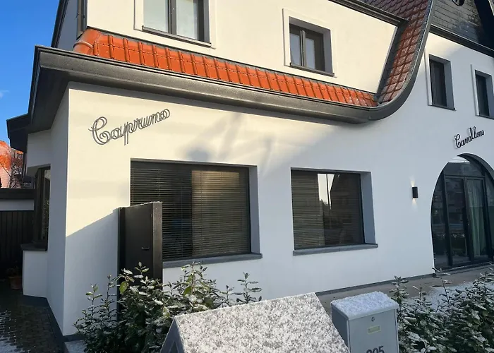 Caprino Knokke-Heist